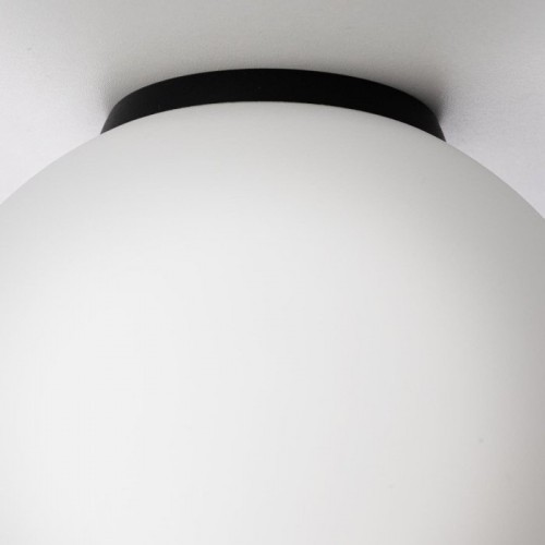 Настенно-потолочный светильник Citilux Ron CL941D20B5