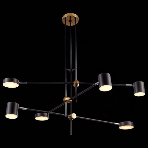 Потолочная люстра ST Luce Rodrigo SL1604.432.06 Потолочная люстра ST Luce Rodrigo SL1604.432.06