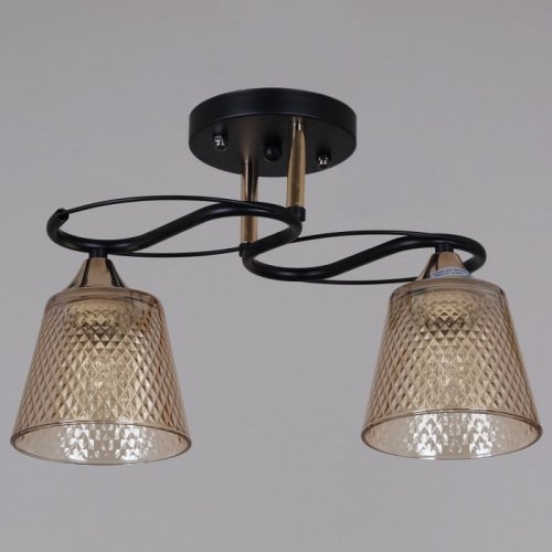 Потолочная люстра Reluce 06087-0.3-02 BK+FG