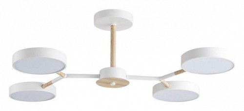 Потолочная люстра Lumion Brad 5652/72CL