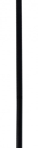 Потолочная люстра Zortes Prügel ZRS.57789.13 Потолочная люстра Zortes Prügel ZRS.57789.13