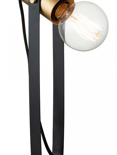 Настольная лампа декоративная Indigo Animo 10007/B/1T Black