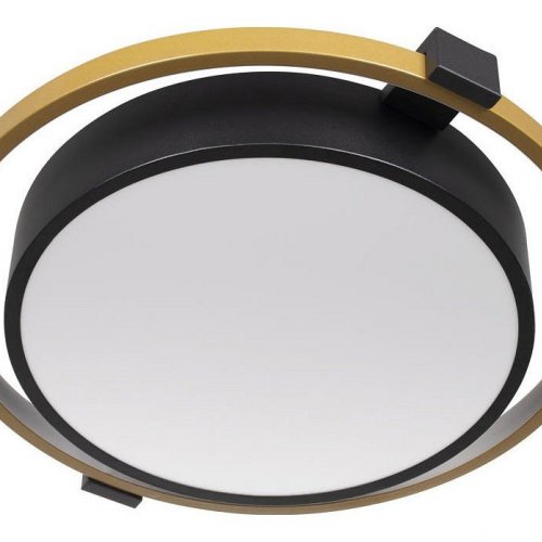 Потолочный светильник Loft IT Mike 10169