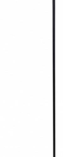 Торшер Arte Lamp Sebastian A7051PN-1BK