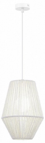 Подвесной светильник Evoluce ETTAN SLE6025-513-01