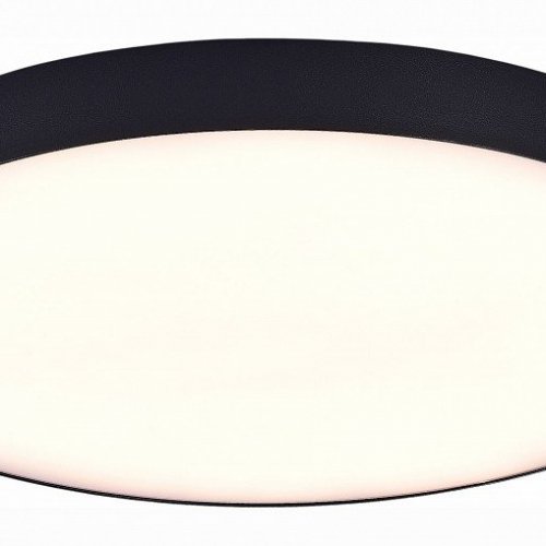 Потолочный светодиодный светильник ST Luce ST606.432.96