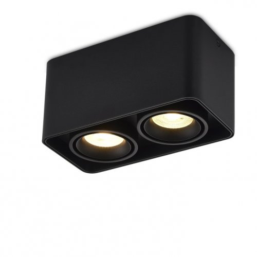 Точечный светильник Lumme DL18611Q2B