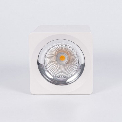 Накладной светильник Fiberli CH-SD220 12120101 Накладной светильник Fiberli CH-SD220 12120101