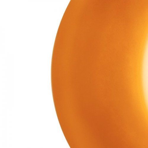 Настенно-потолочный светильник Catania 689613