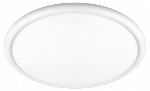 Потолочный светильник Sweety 10454/500 White