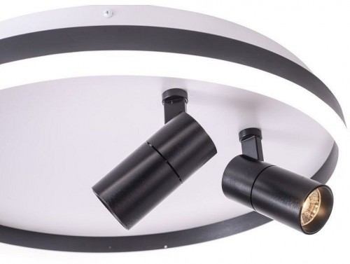 Потолочный светильник Zortes Raizy ZRS.1888.01