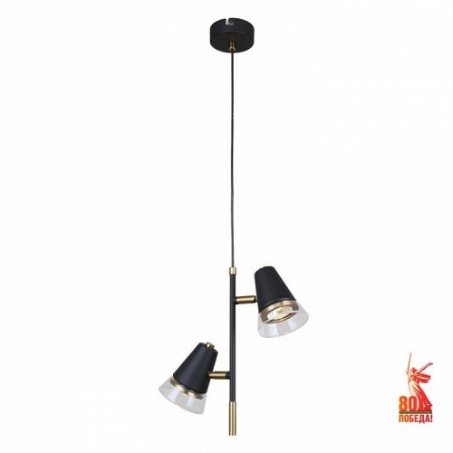 Подвесной светильник F-promo Trandy 4618-2P Подвесной светильник F-promo Trandy 4618-2P