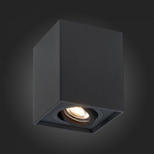 Потолочный светильник ST Luce ST109.407.01
