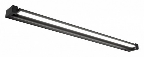 Настенный светильник Citilux Визор CL708291N