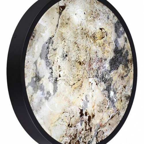 Настенно-потолочный светильник Odeon Light Bergi 5064/24L Настенно-потолочный светильник Odeon Light Bergi 5064/24L