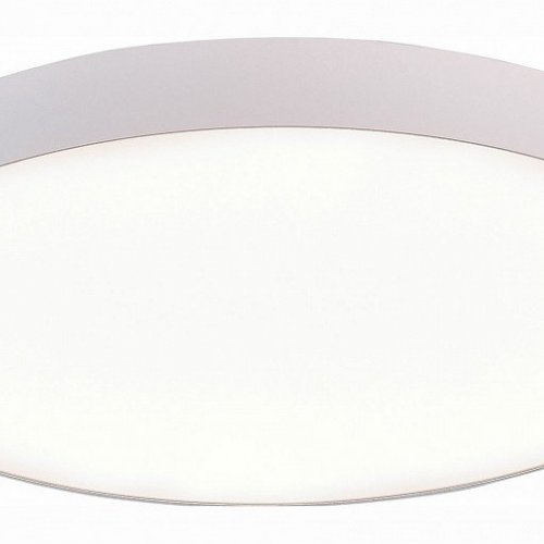 Потолочный светодиодный светильник ST Luce ST606.542.96