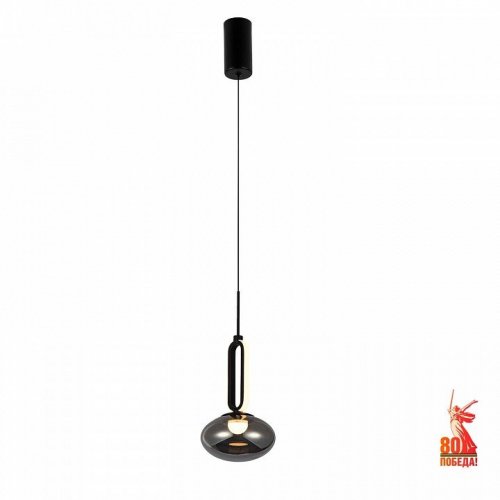 Подвесной светильник Favourite Baron 4284-1P