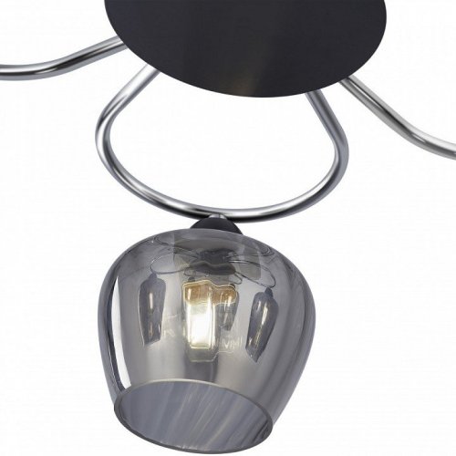 Потолочная люстра Arte Milano AMALFI 321508/5 CR+BK