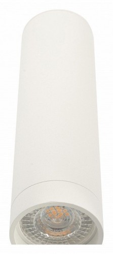 Накладной светильник Denkirs DK2000 DK2052-WH