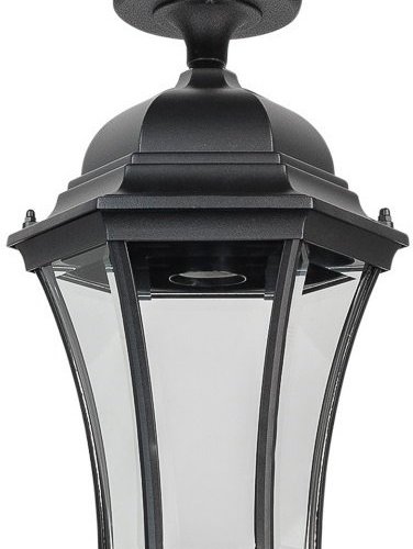 Потолочный светильник уличный Oasis Light ASTORIA 1 L 91305LA Bl