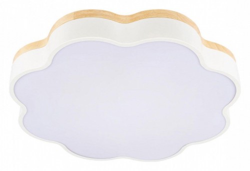 Потолочный светильник Loft IT Axel 10225/36 White