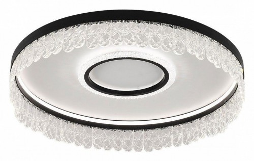 Потолочный светодиодный светильник F-Promo Lunetta 4187-2C