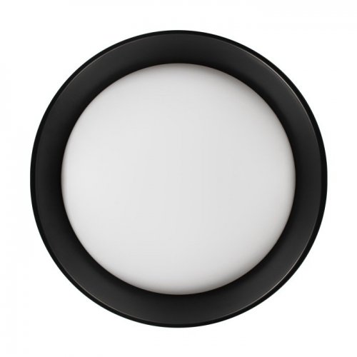 Потолочный светильник Coin 10202 BB Потолочный светильник Coin 10202 BB