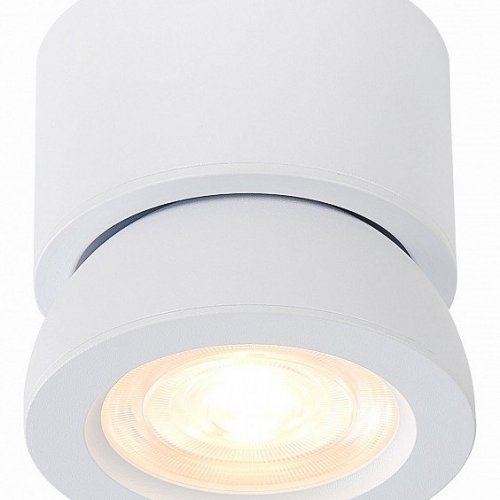 Светодиодный спот ST Luce ST654.532.10 Светодиодный спот ST Luce ST654.532.10