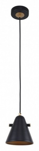 Подвесной светильник F-Promo Rigor 2844-1P Подвесной светильник F-Promo Rigor 2844-1P