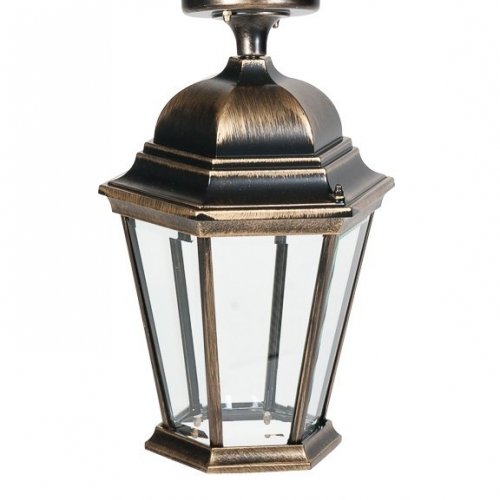 Потолочный светильник уличный Oasis Light ASTORIA 2 91405LA Gb