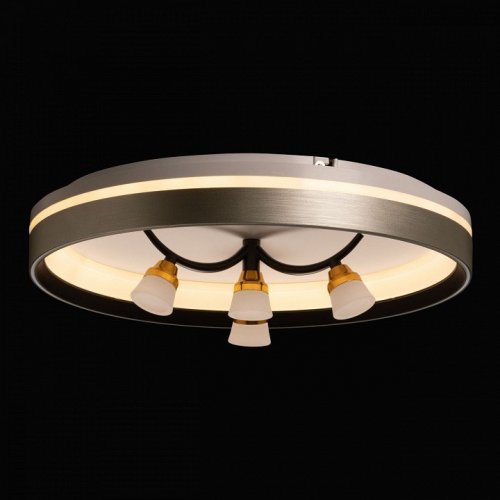 Потолочная люстра De City Норден 660014901