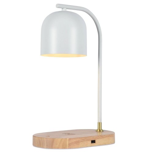 Интерьерная настольная лампа Zortes Desklight ZRS.1066.02