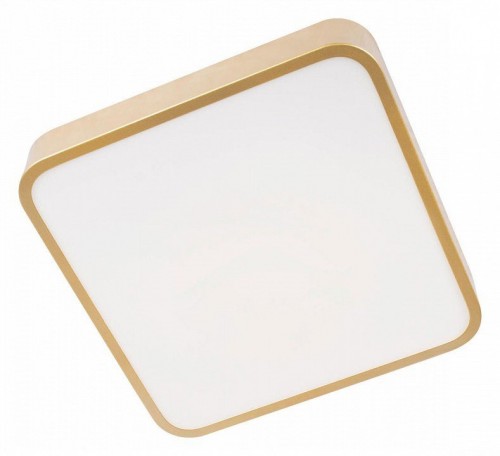 Потолочный светильник Loft IT Flims 10228/C