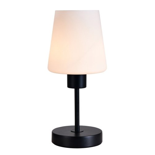 Интерьерная настольная лампа Clarity ES0002707