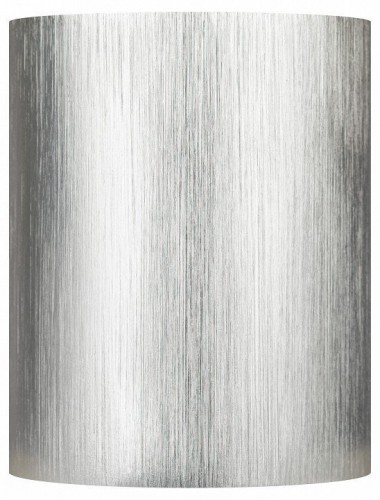 Потолочный светильник ЭРА OL1 GU10 SL/CH