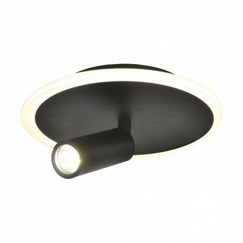 Настенно-потолочный светильник Escada 20046LED 20046SMA/01LED BK