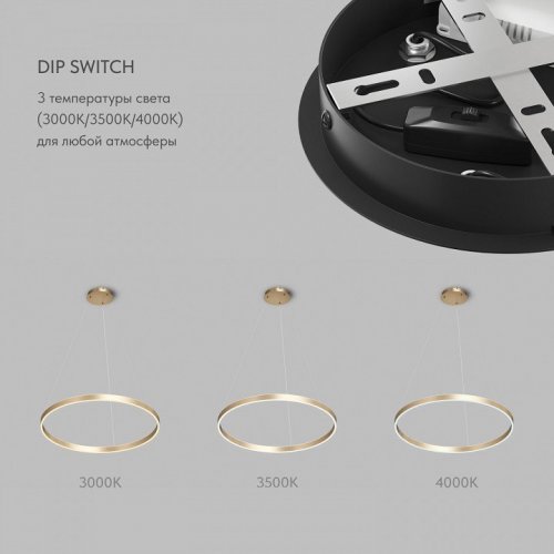Подвесной светильник Denkirs RAYDIA DK6273-SG