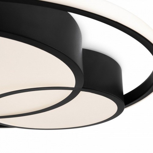 Потолочный светильник Freya Tucene FR10029CL-L70B