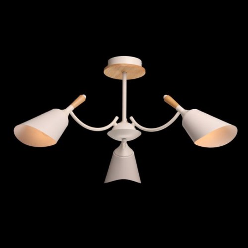 Потолочная люстра DeMarkt Дэла 635014703