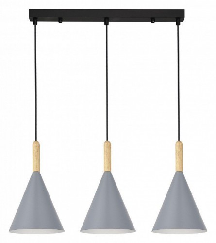 Подвесной светильник EVOLUCE Arket SLE1255-413-03 Подвесной светильник EVOLUCE Arket SLE1255-413-03