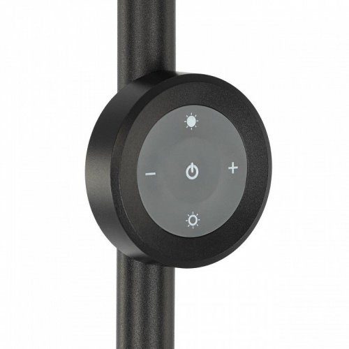 Торшер Citilux Loong CL810031