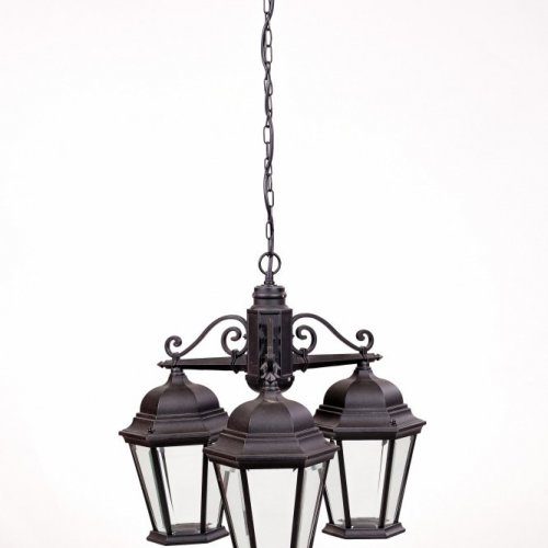 Уличный светильник подвесной Oasis Light ASTORIA 2 91470L/3 Bl