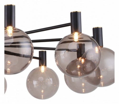 Подвесная люстра Favourite Eternity 2766-12P