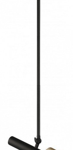Светильник на штанге iLedex Technical Delta 2361-1 BK+BR