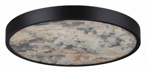 Настенно-потолочный светильник Odeon Light Bergi 5064/40L