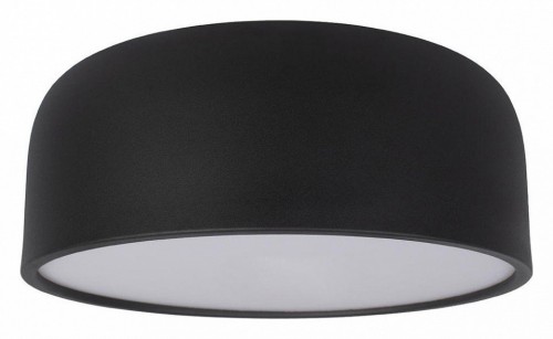 Потолочный светильник Loft IT Axel 10201/350 Black