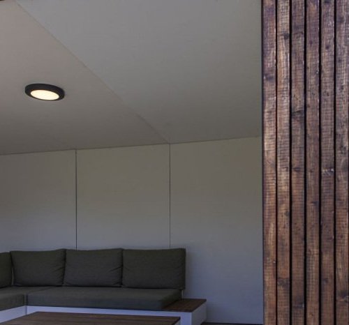 Потолочный светильник уличный Oasis Light SIDNEY LED W3922 Gr