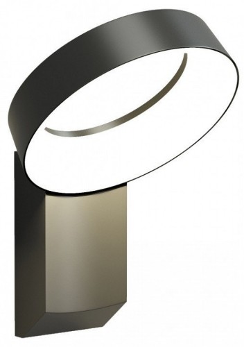 Уличный настенный светодиодный светильник Denkirs Sanvik DK9712-BK