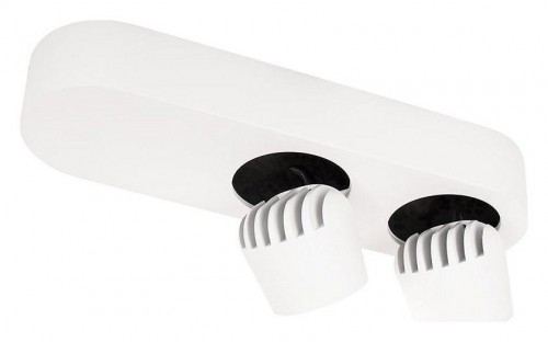 Спот Loft IT Quiet 10320/2 White Спот Loft IT Quiet 10320/2 White