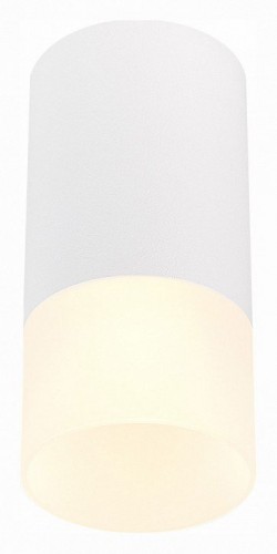 Потолочный светильник ST Luce ST100.512.01 Потолочный светильник ST Luce ST100.512.01